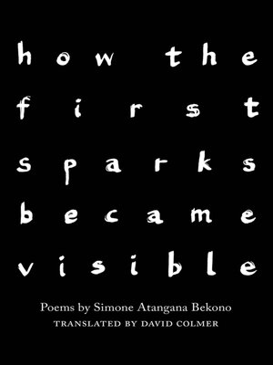 cover image of how the first sparks became visible
